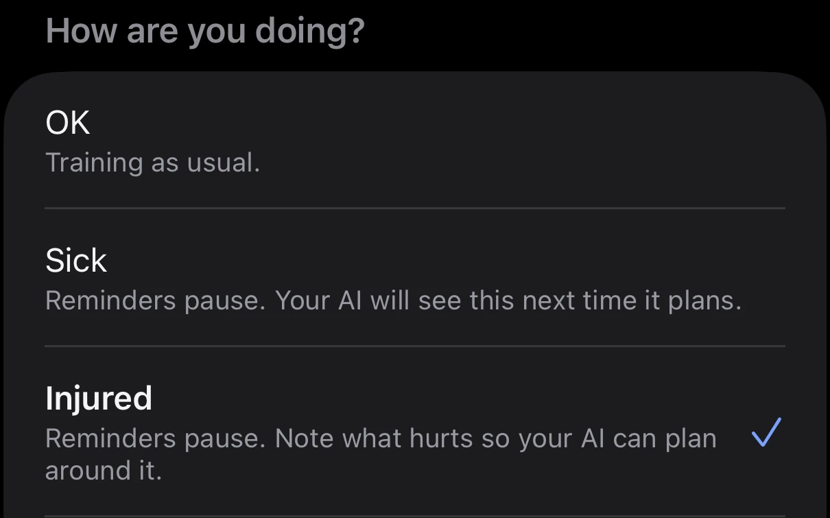 Parameter's Status screen, asking How are you doing, listing OK, Sick and Injured, with Injured selected and ticked. Its line reads Reminders pause. Note what hurts so your AI can plan around it.